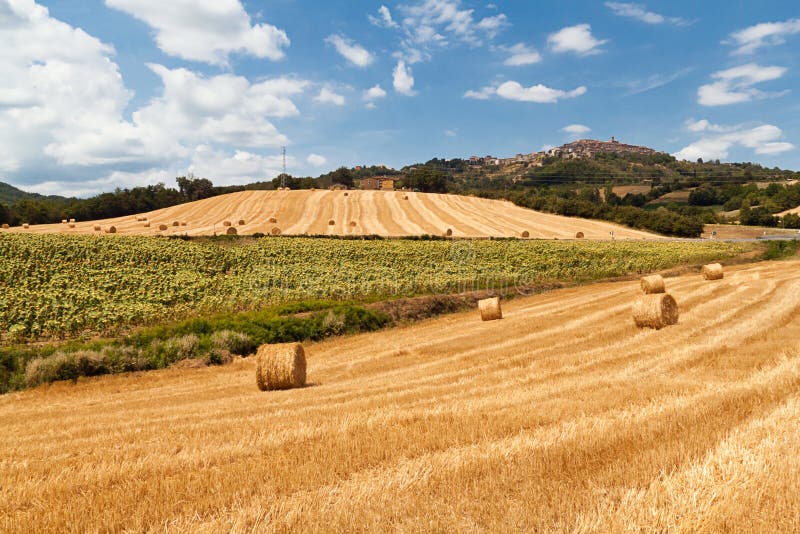 Tuscan landscape