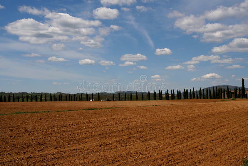 Tuscan landscape