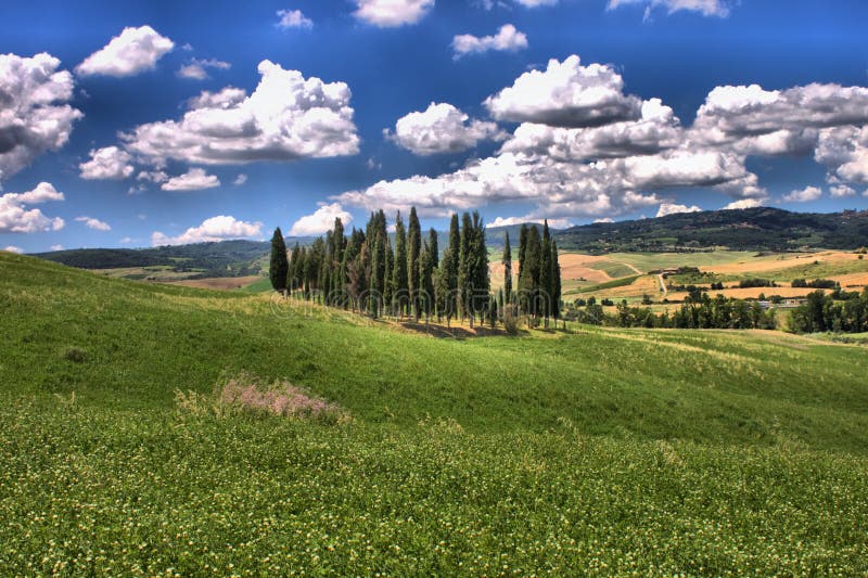 Tuscan Landscape With Cypress Trees Stock Photo Image Of