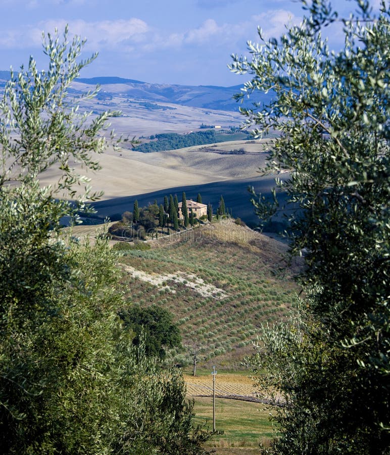 Tuscan Landscape, isolated farm with cypress