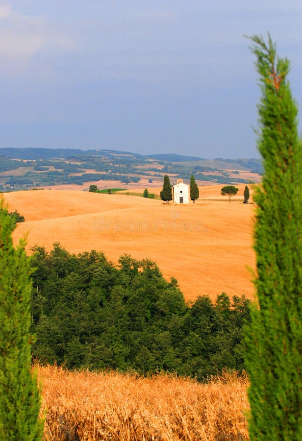 Toscana, piccolo Chiesa medio da d'oro grano campo.