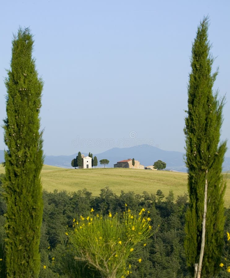 TUSCANY countryside with cypress and farms