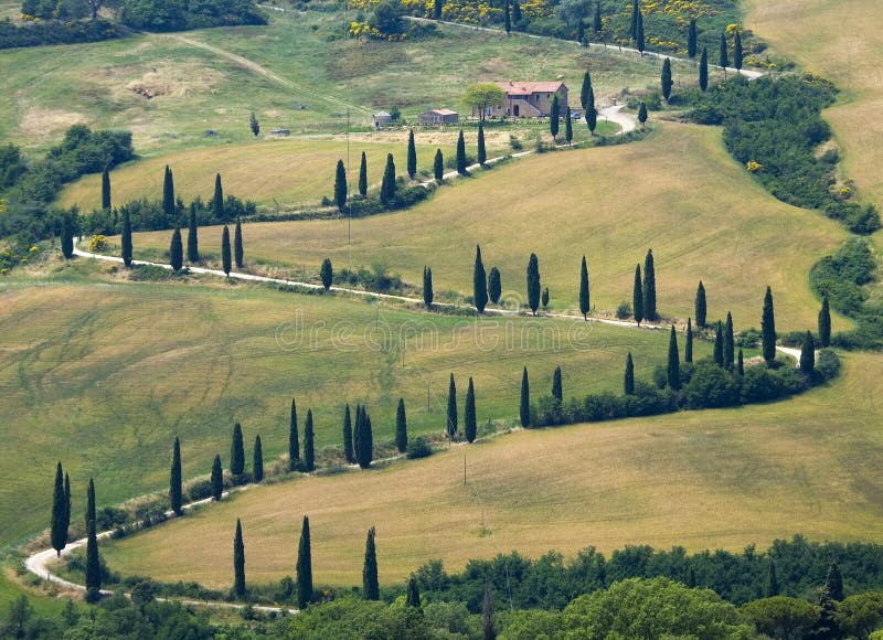 TUSCANY countryside, devious street with cypress