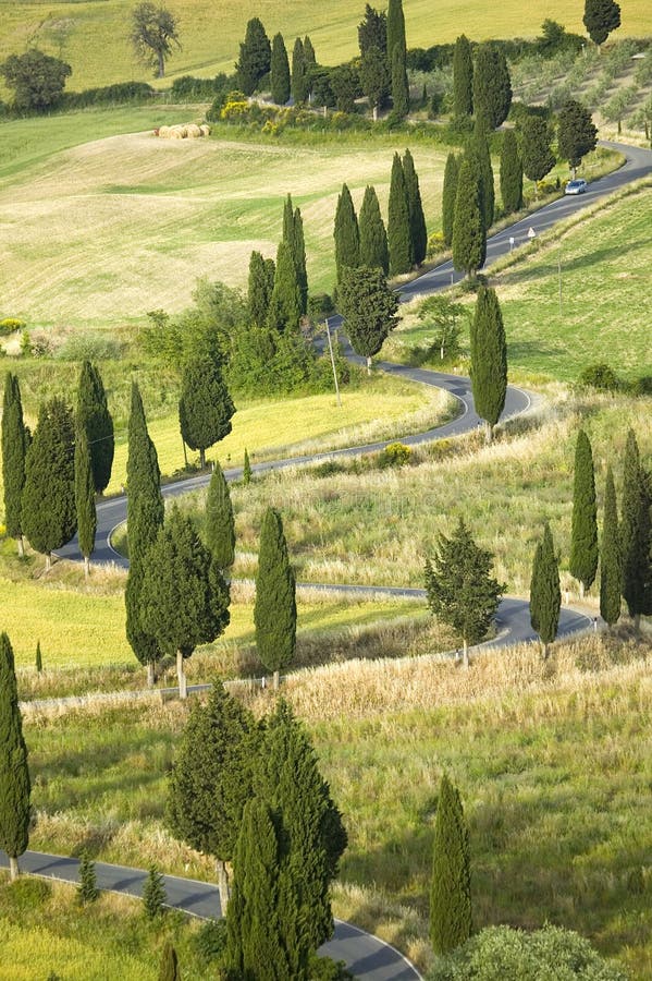 TUSCANY countryside, devious street with cypress