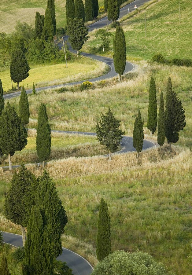 TUSCANY countryside, devious street with cypress