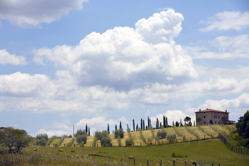 TUSCANY countryside,little farm