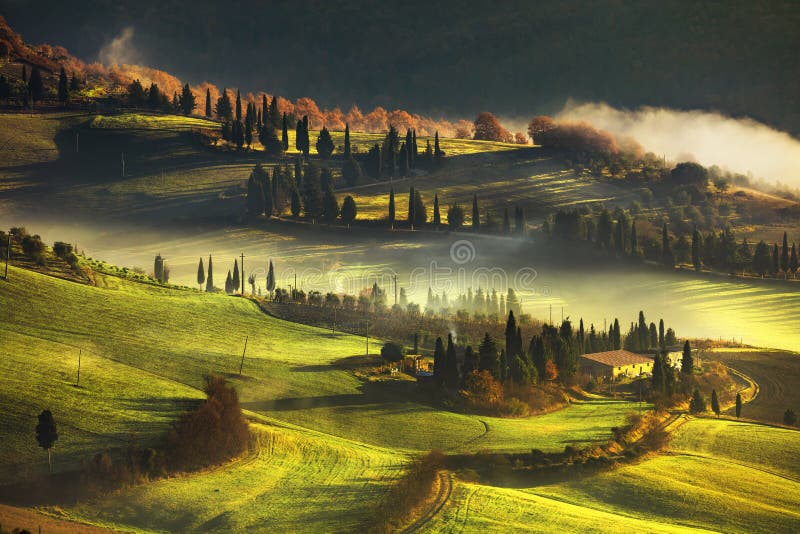 Tuscany dimmig morgon, jordbruksmark och cypressträd italy