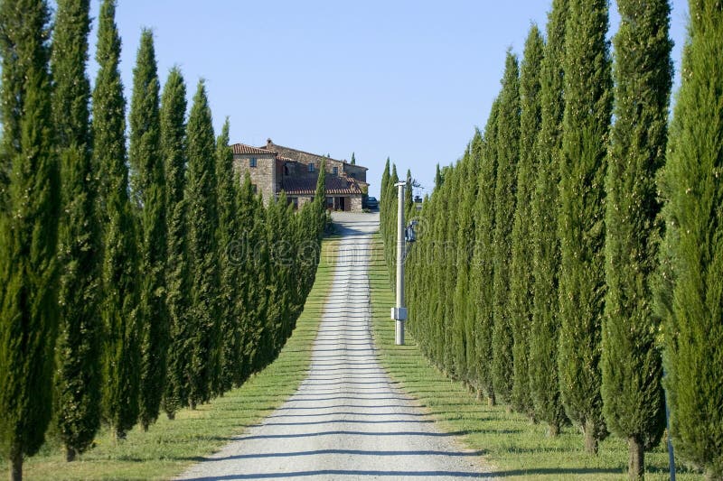 TUSCANY FARM WHIT ROAD