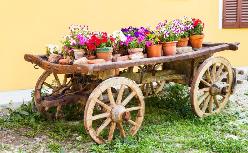 Old Wooden Wheelbarrow with Flowers Stock Image - Image of europe ...