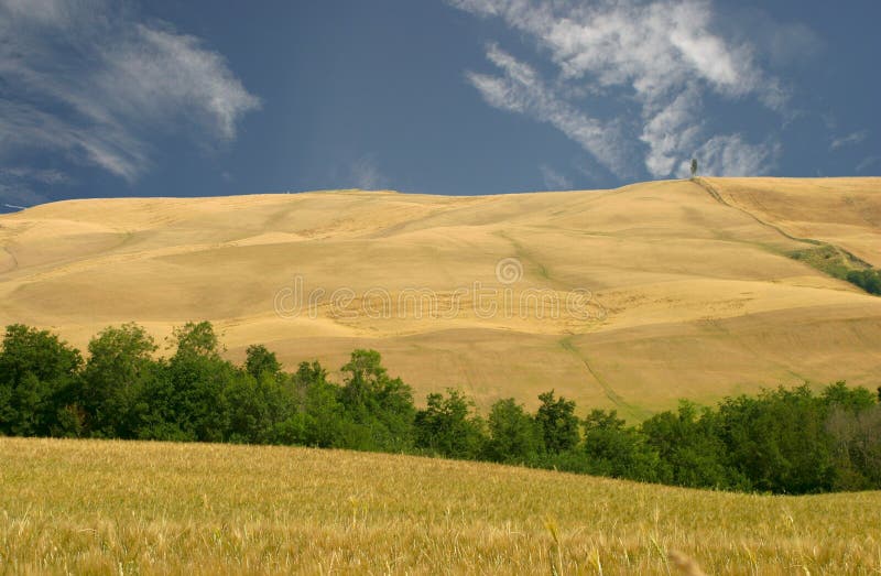 Toskánsko zobrazenie na šírku - hills s poľnohospodárskej pôdy.