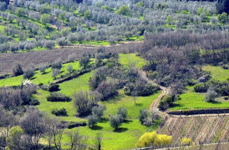 Tuscany landscape