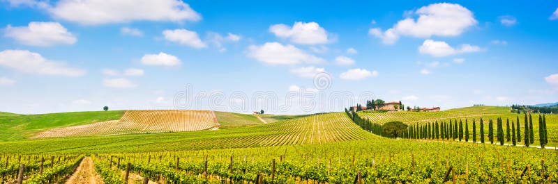 Tuscany landscape panorama with vineyard in the Chianti region, Tuscany, Italy