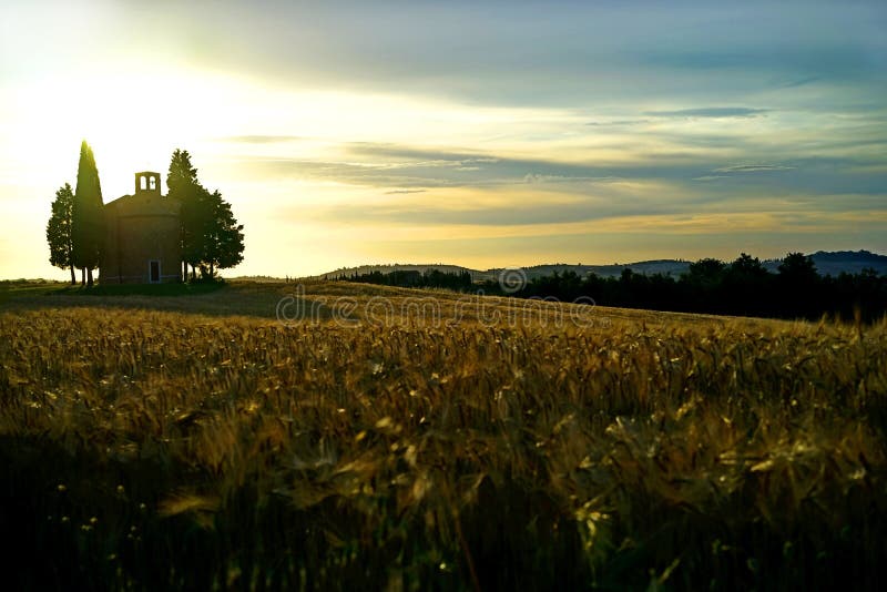 Tuscany landscape royalty free stock images Tuscany landscape royalty free stock images