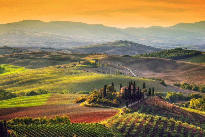 Tuscany landscape at sunrise. Tuscan farm house, vineyard, hills.