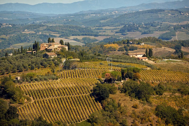 Tuscany landskap med kullen, huset och ving?rden royaltyfria foton Tuscany landskap med kullen, huset och ving?rden royaltyfria foton
