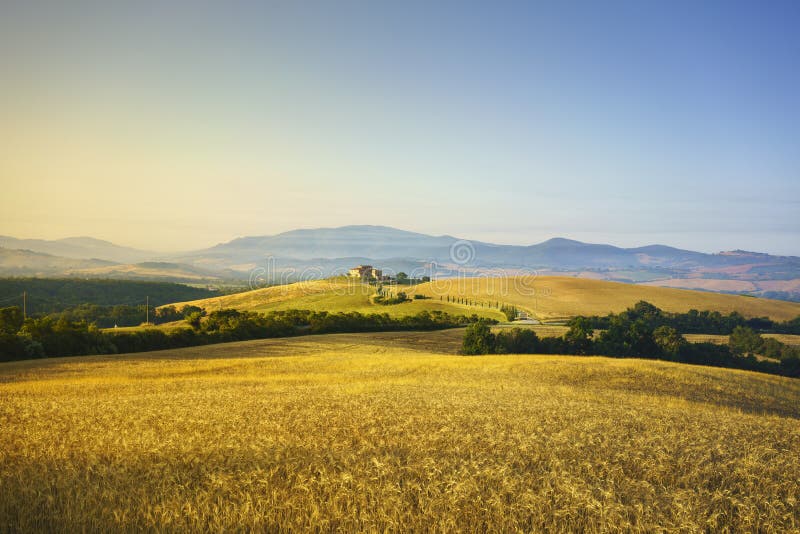 Tuscany Spring Rolling Hills On Sunset Rural Landscape Green Stock
