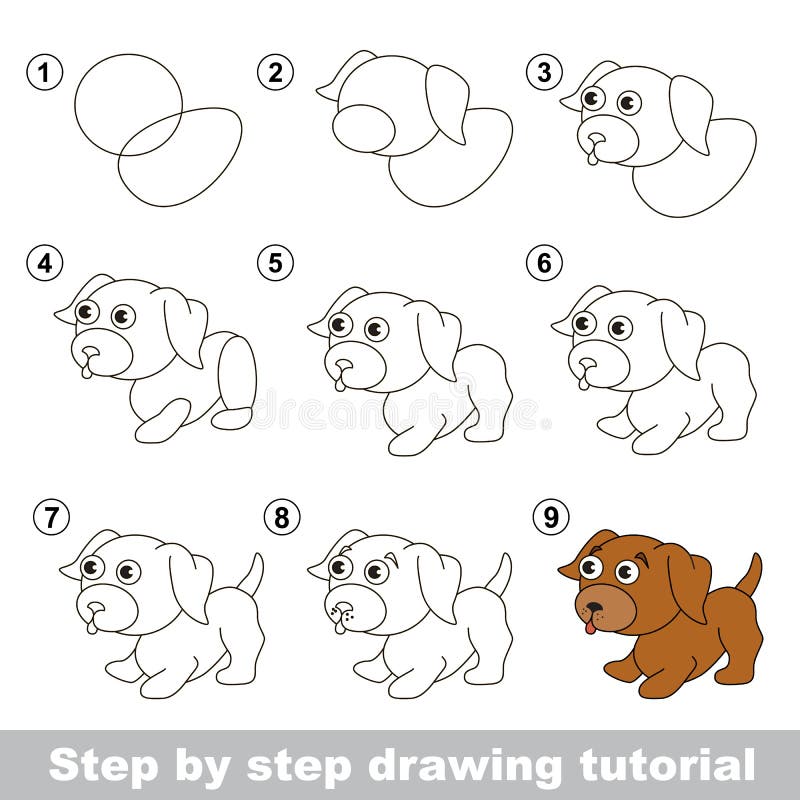 Tutorial Del Dibujo Cómo Dibujar Un Pequeño Perrito Ilustración del Vector - Ilustración de tarjeta, visual: 65467251 Tutorial Del Dibujo Cómo Dibujar Un Pequeño Perrito Ilustración del Vector - Ilustración de tarjeta, visual: 65467251