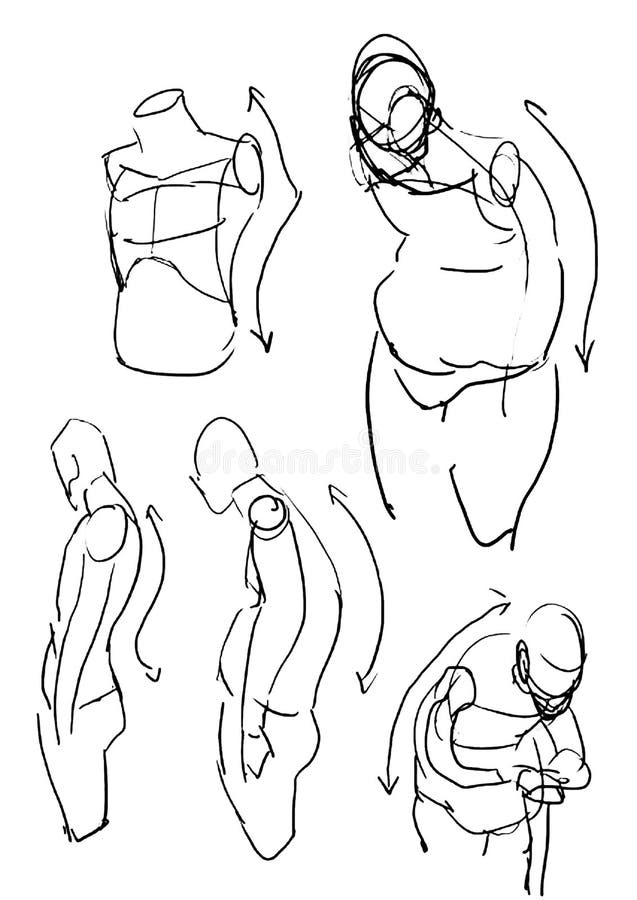 Tutorial of drawing a female body. Drawing the human body, step by step  lessons, Foto de Stock, Imagen Low Budget Royalty Free Pic. ESY-055370373