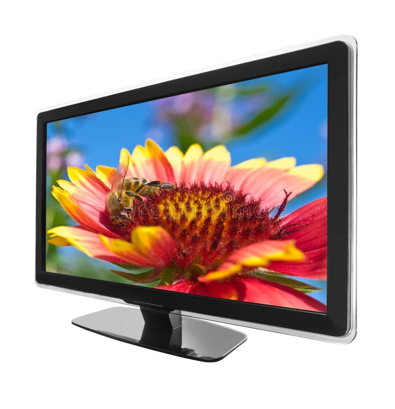 TV con il fiore fotografia stock TV con il fiore fotografia stock
