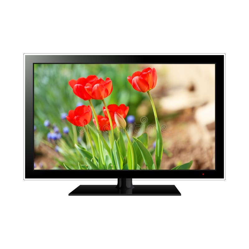TV with Flowers on the Screen Stock Illustration Illustration of