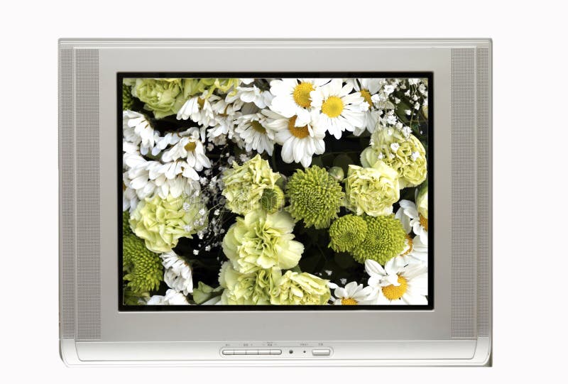 TV and White flowers stock image. Image of electronic 3824843