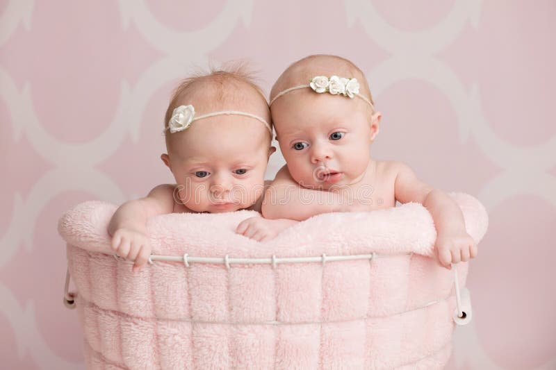 Seven week old, fraternal twin baby girls sitting in a wire basket. Shot in the studio against a pink background. Seven week old, fraternal twin baby girls sitting in a wire basket. Shot in the studio against a pink background.