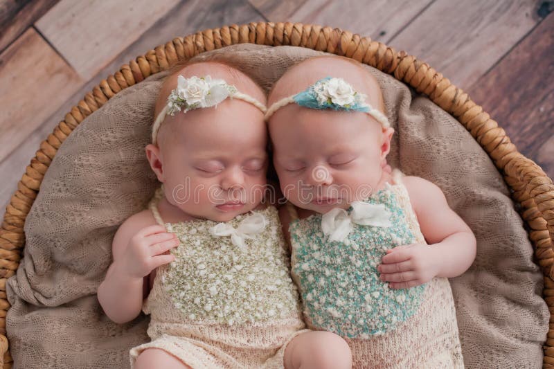 Seven week old fraternal, twin baby girls sleeping in a wicker basket. Shot in the studio on a rustic wood background. Seven week old fraternal, twin baby girls sleeping in a wicker basket. Shot in the studio on a rustic wood background.