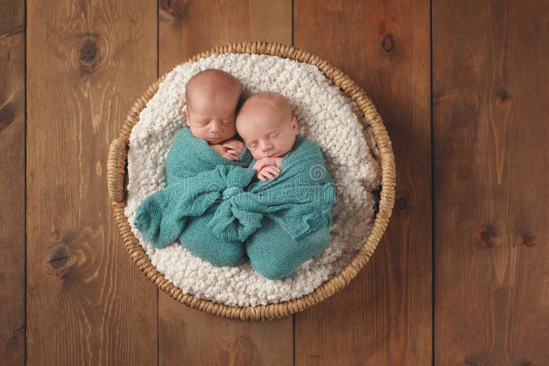 Four week old fraternal, twin baby boys swaddled in a turquoise blue wrap and sleeping in a wicker basket. Shot in the studio on a wooden background. Four week old fraternal, twin baby boys swaddled in a turquoise blue wrap and sleeping in a wicker basket. Shot in the studio on a wooden background.