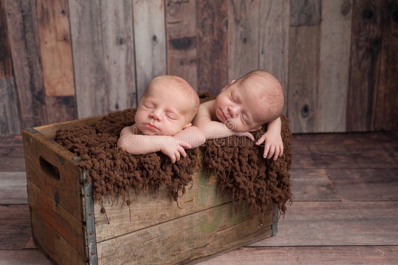 Four week old fraternal, twin, newborn baby boys sleeping in a vintage, wooden crate. Shot in the studio on a wood background. Four week old fraternal, twin, newborn baby boys sleeping in a vintage, wooden crate. Shot in the studio on a wood background.