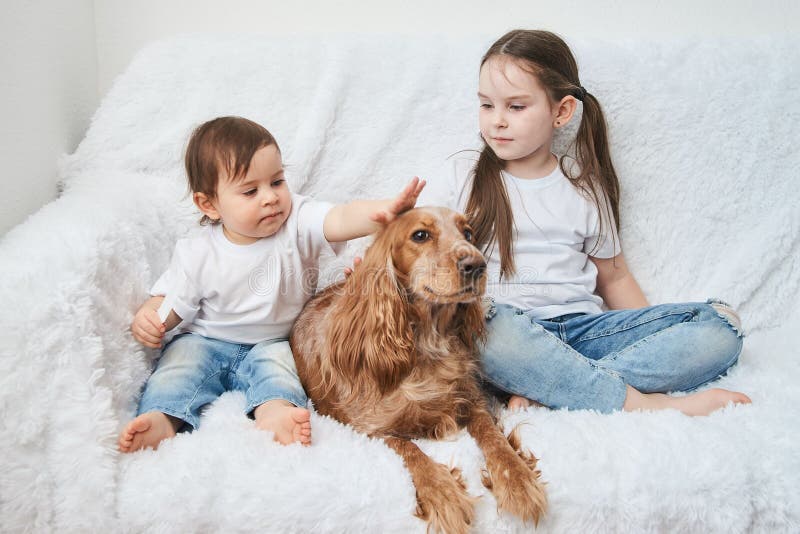 Två behandla som ett barn flickor, systrar spelar på den vita soffan med den röda hunden arkivfoto Två behandla som ett barn flickor, systrar spelar på den vita soffan med den röda hunden arkivfoto