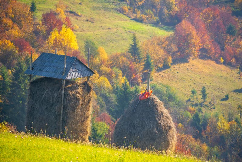 Två höstackar på härligt höstlandskap i Carpathian berg arkivbilder Två höstackar på härligt höstlandskap i Carpathian berg arkivbilder