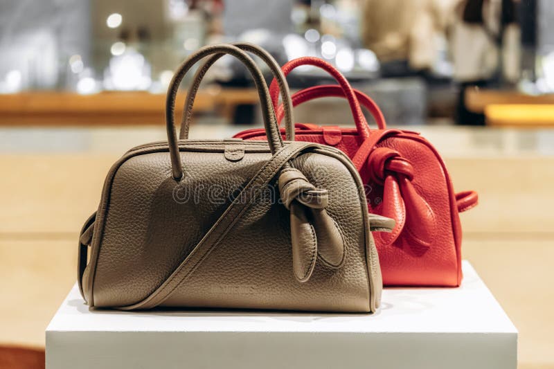 Två Jacquemus-läderväskor visas i ett skyltfönster i Nice royaltyfri foto
