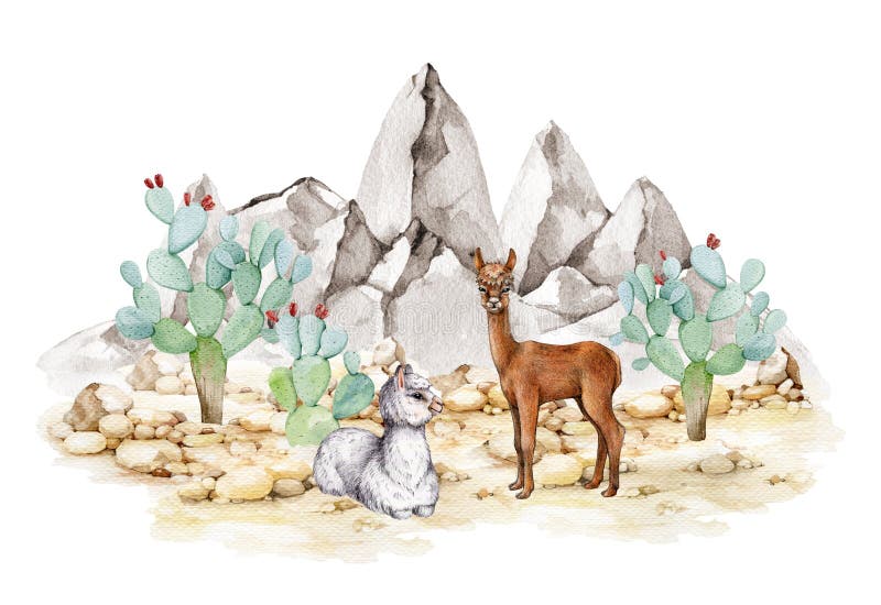 Två lama-djur i bergigt ökenlandskap. illustration av vattenfärg. handritat par lama med prickig päronaktus royaltyfri illustrationer