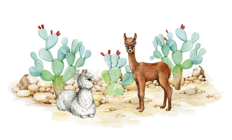 Två lamdjur i ökenlandskapet. illustration av vattenfärg. handritat par lama med prickig päronaktus stock illustrationer