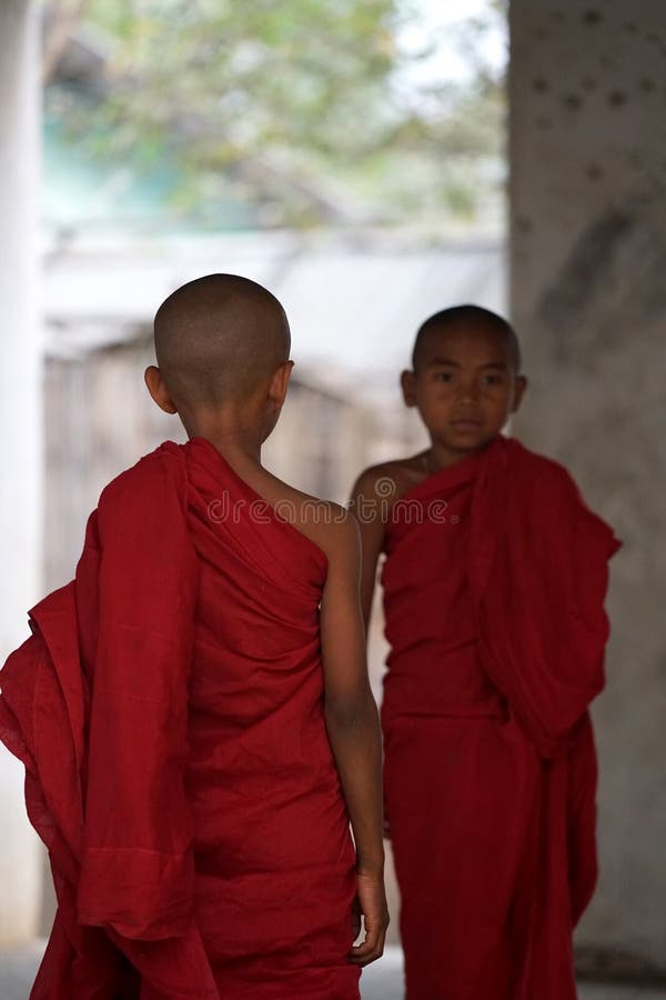 Två novis Myanmar royaltyfri fotografi Två novis Myanmar royaltyfri fotografi