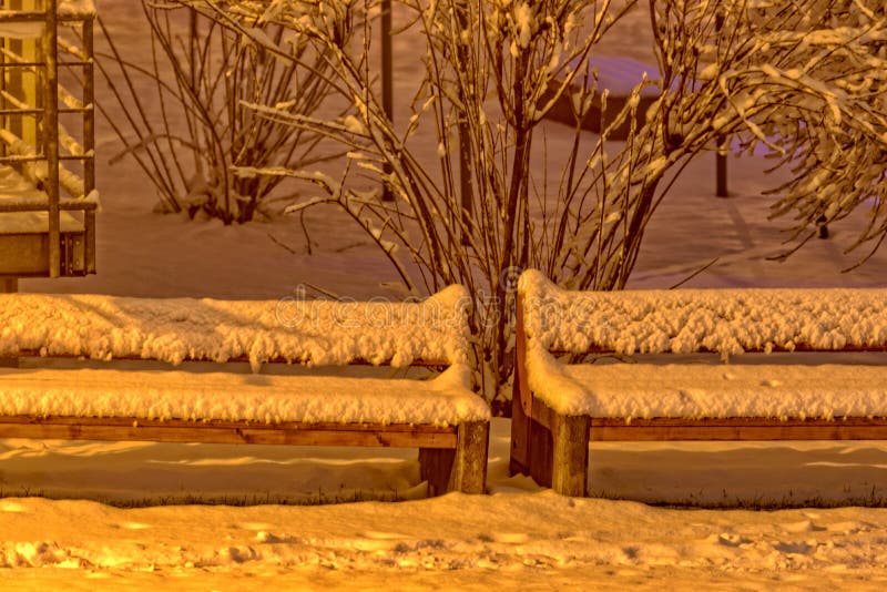 Två parkerar bänkar som täckas fullständigt med snö royaltyfri foto Två parkerar bänkar som täckas fullständigt med snö royaltyfri foto