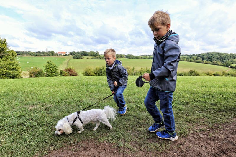 Två pojkar som går den lilla vita hunden arkivfoto Två pojkar som går den lilla vita hunden arkivfoto