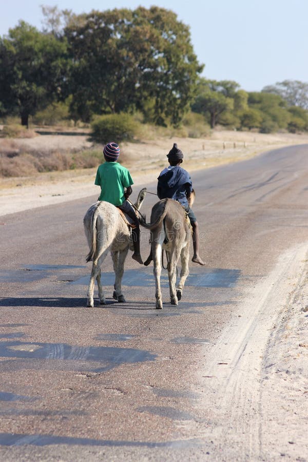 Two boys ride donkeys along a road in Northern Botswana.This is a local form of transportation that young boys love to utilize especially in rural areas. Two boys ride donkeys along a road in Northern Botswana.This is a local form of transportation that young boys love to utilize especially in rural areas.