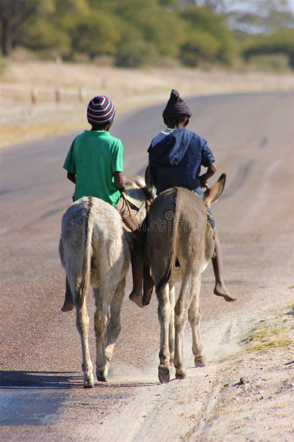 Two boys ride donkeys along a road in Northern Botswana.This is a local form of transportation that young boys love to utilize especially in rural areas. Two boys ride donkeys along a road in Northern Botswana.This is a local form of transportation that young boys love to utilize especially in rural areas.