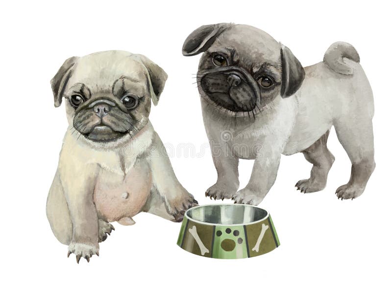Två söta små valpar som sitter nära en skäggsfärgad illustration av dogmernas vattenfärg. stock illustrationer