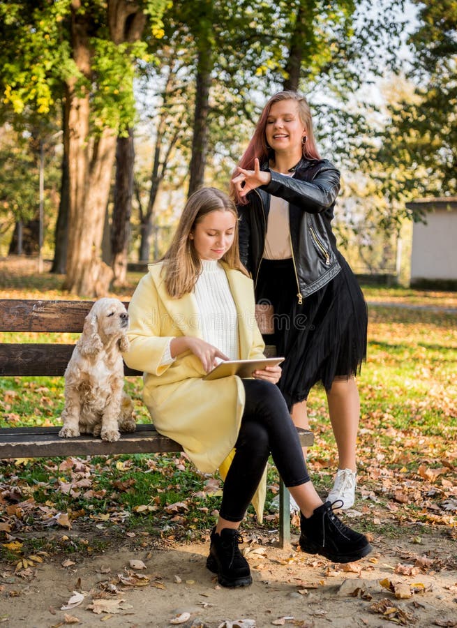 Två trevliga kvinnliga bästa vänner i tillfälligt slitage med en tablett i soliga höstpark royaltyfri bild
