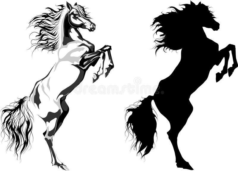 Twee achterpaarden: zwart-wit plus silhoutte royalty-vrije illustratie Twee achterpaarden: zwart-wit plus silhoutte royalty-vrije illustratie