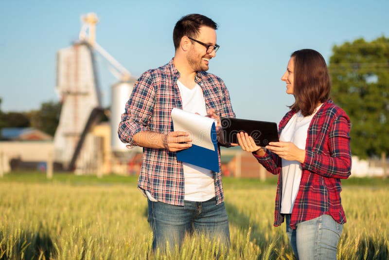 Twee gelukkige jonge mannelijke en vrouwelijke landbouwers of agronomen die een tarwegebied inspecteren vóór de oogst royalty-vrije stock foto Twee gelukkige jonge mannelijke en vrouwelijke landbouwers of agronomen die een tarwegebied inspecteren vóór de oogst royalty-vrije stock foto