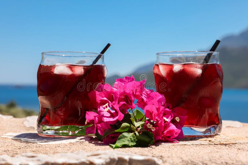 Twee glazen van de zomer rode cocktail met ijs en een twijg van Bougainvillea bloeit tussen op de blauwe hemelachtergrond stock fotografie Twee glazen van de zomer rode cocktail met ijs en een twijg van Bougainvillea bloeit tussen op de blauwe hemelachtergrond stock fotografie