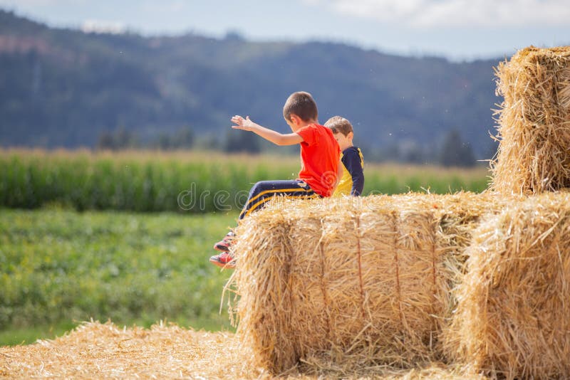 Twee jong geitjevrienden, die op een hooiblok zitten stock foto's Twee jong geitjevrienden, die op een hooiblok zitten stock foto's