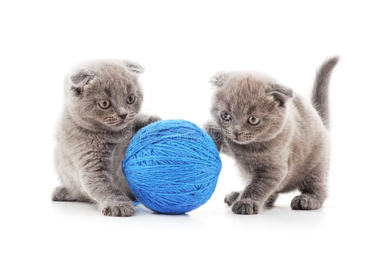 Twee katjes met ballen royalty-vrije stock afbeelding Twee katjes met ballen royalty-vrije stock afbeelding