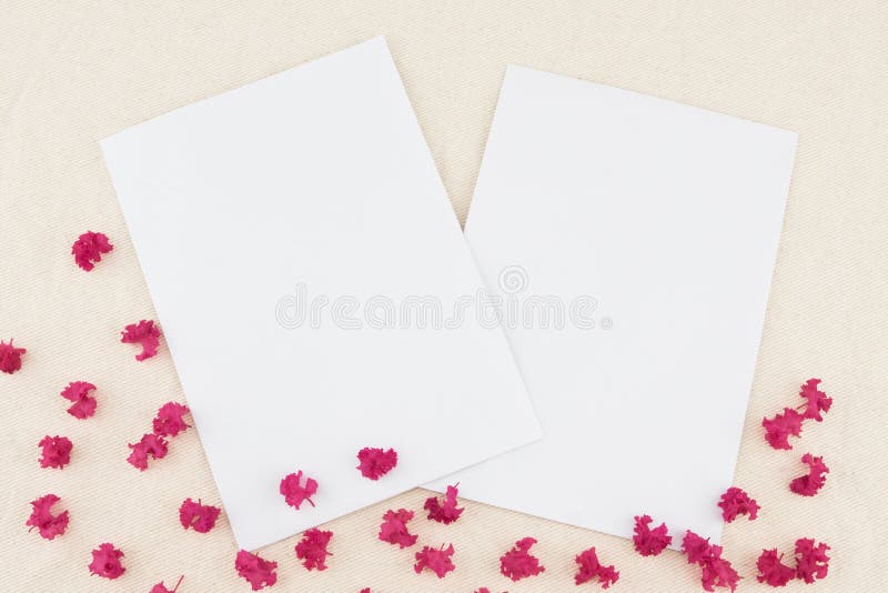 Twee lege witte kaarten stock foto Twee lege witte kaarten stock foto