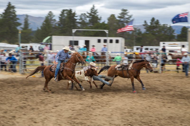 Twee mannelijke cowboyruiters op paarden vangen als groep een kalf D royalty-vrije stock fotografie Twee mannelijke cowboyruiters op paarden vangen als groep een kalf D royalty-vrije stock fotografie