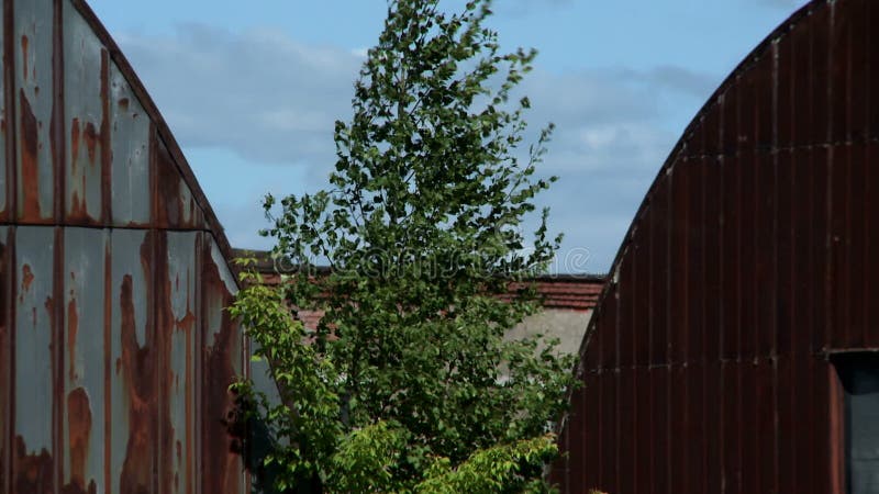 Twee oude hangaars bij de zomerdag