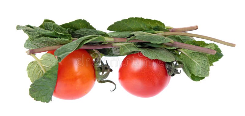 Twee rode tomaten en munt vertakken zich met verse groene die bladeren op witte achtergrond worden geïsoleerd royalty-vrije stock afbeeldingen Twee rode tomaten en munt vertakken zich met verse groene die bladeren op witte achtergrond worden geïsoleerd royalty-vrije stock afbeeldingen